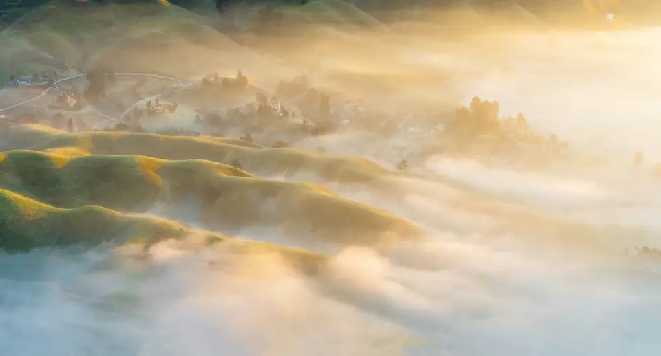 Rolling hills in morning fog and golden light